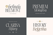 More Bright Serif Duo, a Serif Font by zeenesia (Thumbnail 3 of 18)