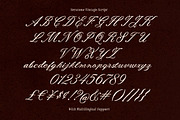 Seratone Vintage Wedding Script, a Script Font by Letterhend Studio (Thumbnail 6 of 10)