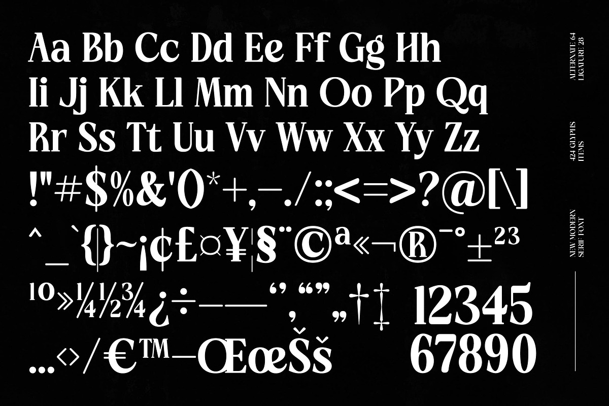 Choarll Modern Serif Display, a Serif Font by timelesstype.co (Photo 19 of 20)