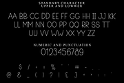 Santa Planner, a Sans Serif Font by FreshTypeINK (Thumbnail 2 of 8)
