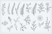 Botanical Decorative Elements, a Decorative Illustration by Solana (Thumbnail 4 of 6)