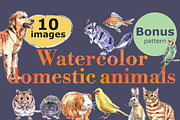 Watercolor vector domestic animals, an Animal Illustration by miminoshka (Thumbnail 1 of 8)
