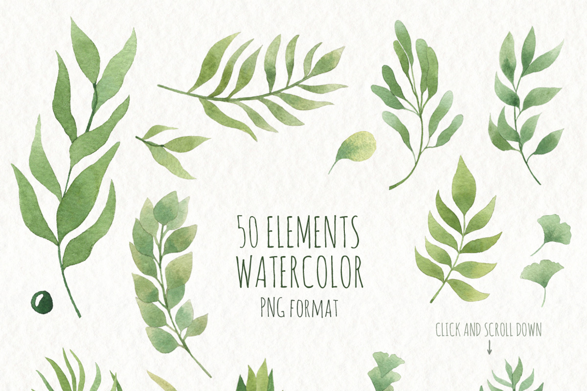 Watercolor Leaves and branches, a Decorative Illustration by Moonflora (Photo 5 of 6)