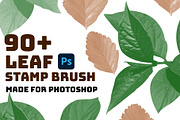 Leaf brush stamps Photoshop, a Brush Add-On by Chipshpow Graphics (Thumbnail 1 of 8)