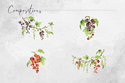 Currant blossom, a Decorative Illustration by MsFlaffy (Thumbnail 3 of 9)