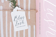 Petalip Orchid Modern Freestyle, a Script Font by Letterena Studios Script (Thumbnail 2 of 15)