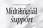 Novela Clasica - Modern Serif, a Serif Font by Novitype (Thumbnail 12 of 12)