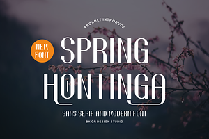 Spring Hontinga - Modern & Minimal