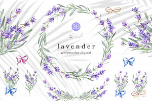 Lavender Watercolor Clipart