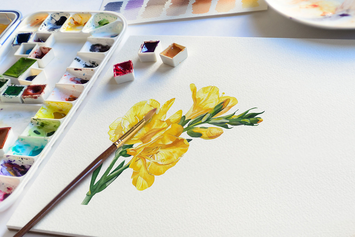 Watercolor Yellow Freesia Vector Set, a Decorative Illustration by Deckar_art (Photo 3 of 4)
