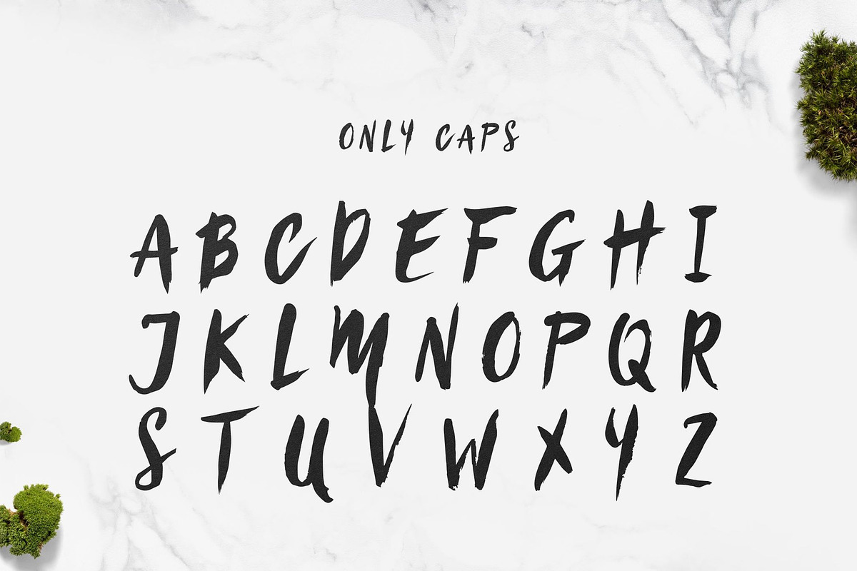 Sanös Brush Script Font preview 5