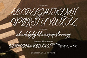 Ballegha - Beautiful Script, a Handwritten Font by Novitype (Thumbnail 11 of 11)