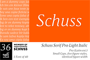 SchussSerifProLigIta No.36 (1 Font), a Serif Font by typic schuss (Thumbnail 1 of 6)