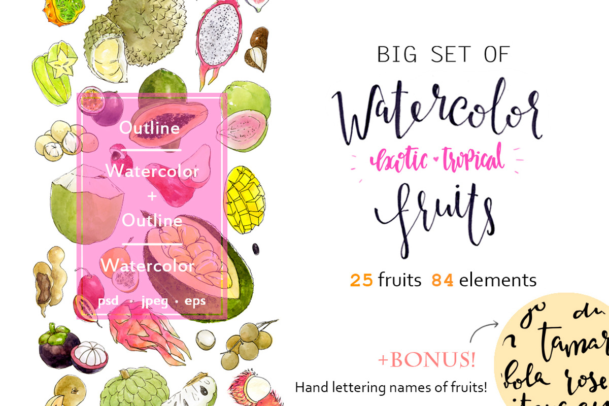 Big set of watercolor exotic fruits, a Food Illustration by Ira Paisley (Photo 1 of 3)