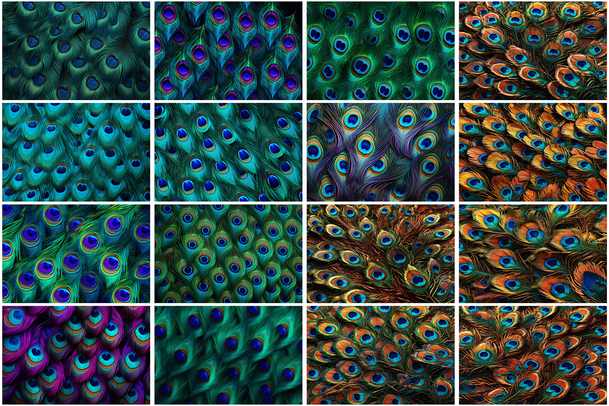 Peacock Feather Background, a Texture Graphic by Forhadx5 (Photo 4 of 5)