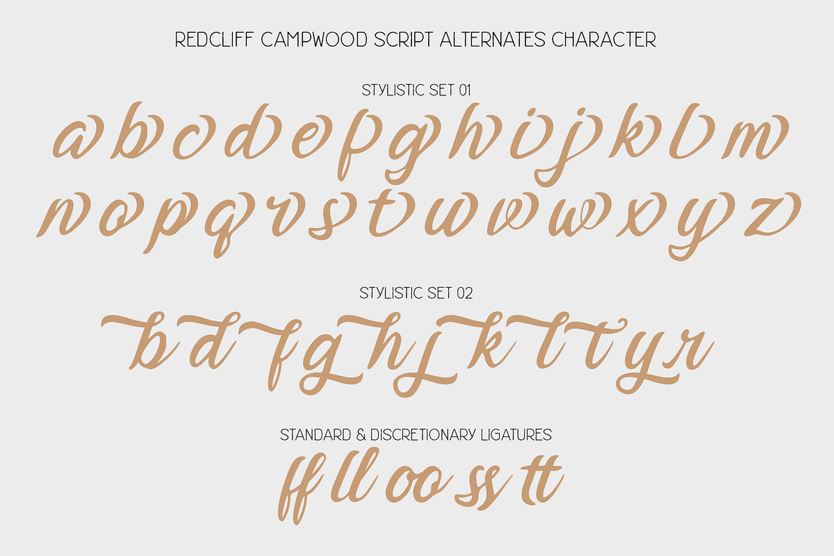 Redcliff Campwood, a Serif Font by din-studio.com (Photo 13 of 16)