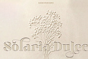 Alesana Atelier, a Sans Serif Font by Zelda Graphic (Thumbnail 3 of 12)