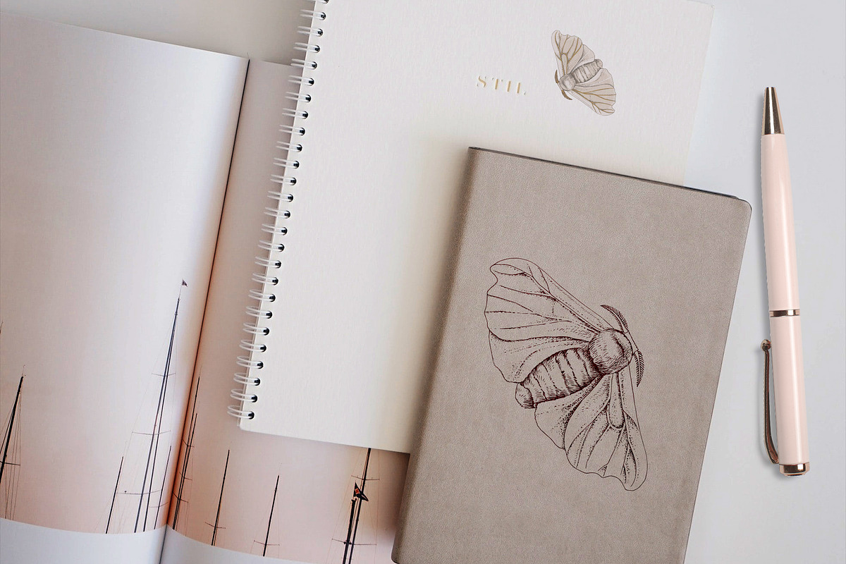 Silk moth metamorphosis, an Animal Illustration by handsketched (Photo 8 of 8)