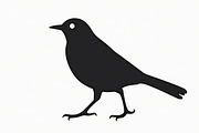 Bird Silhouette design bundle, an Illustration by hafijul (Thumbnail 12 of 13)