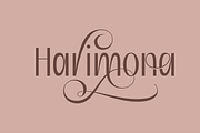 Bemona - Beautiful Simple Sans Serif, a Sans Serif Font by AuthenType (Thumbnail 8 of 12)