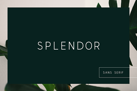 SPLENDOR - modern display font