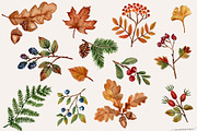 Autumn Leaves Watercolor Clipart PNG, a Seasonal Illustration by SandraGraphicDesign (Thumbnail 2 of 5)