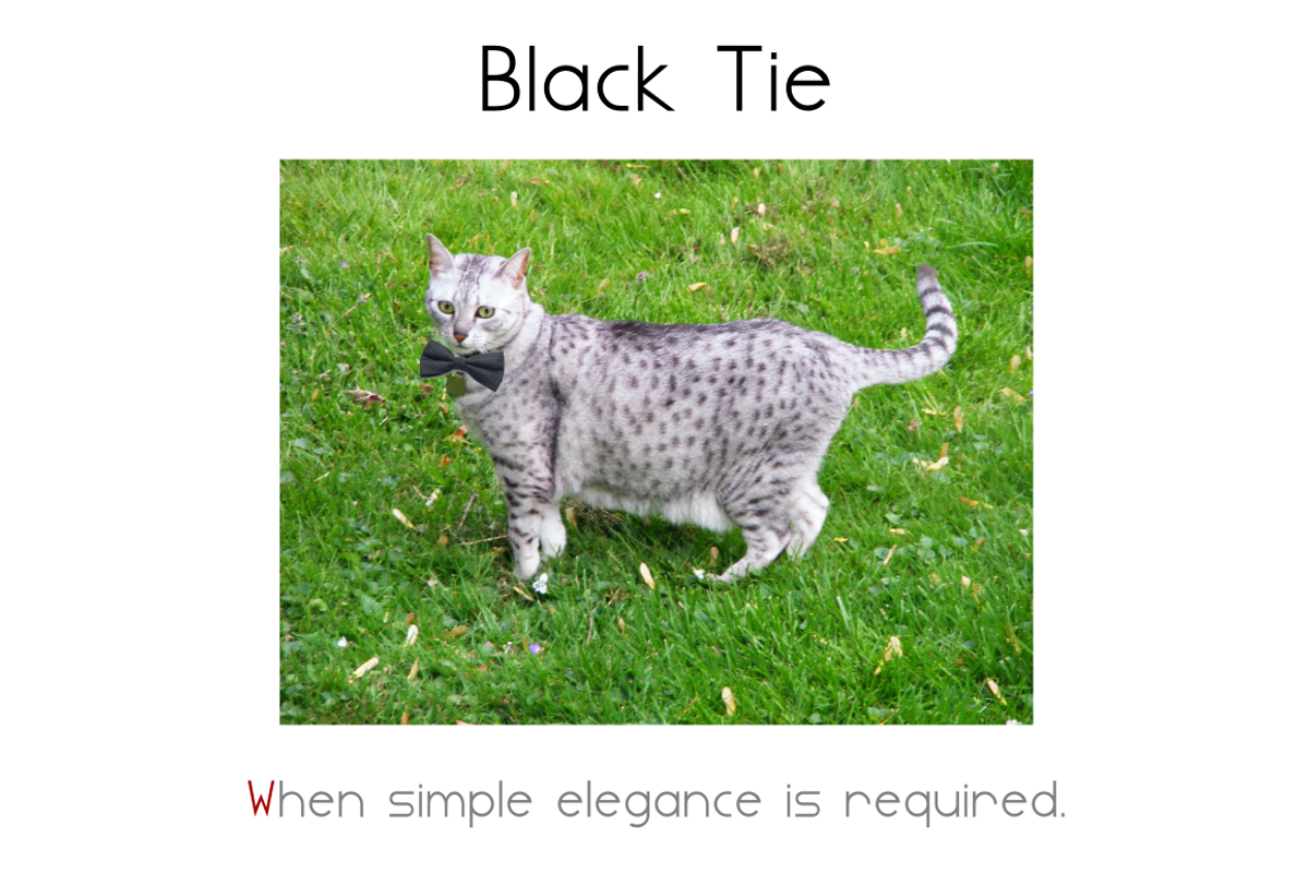 Blacktie