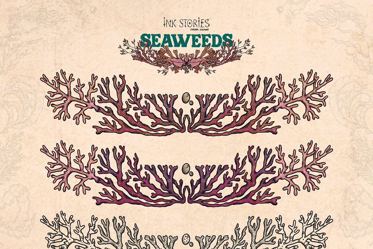 Seaweeds, an Object Illustration by Ink Stories (Photo 15 of 24)