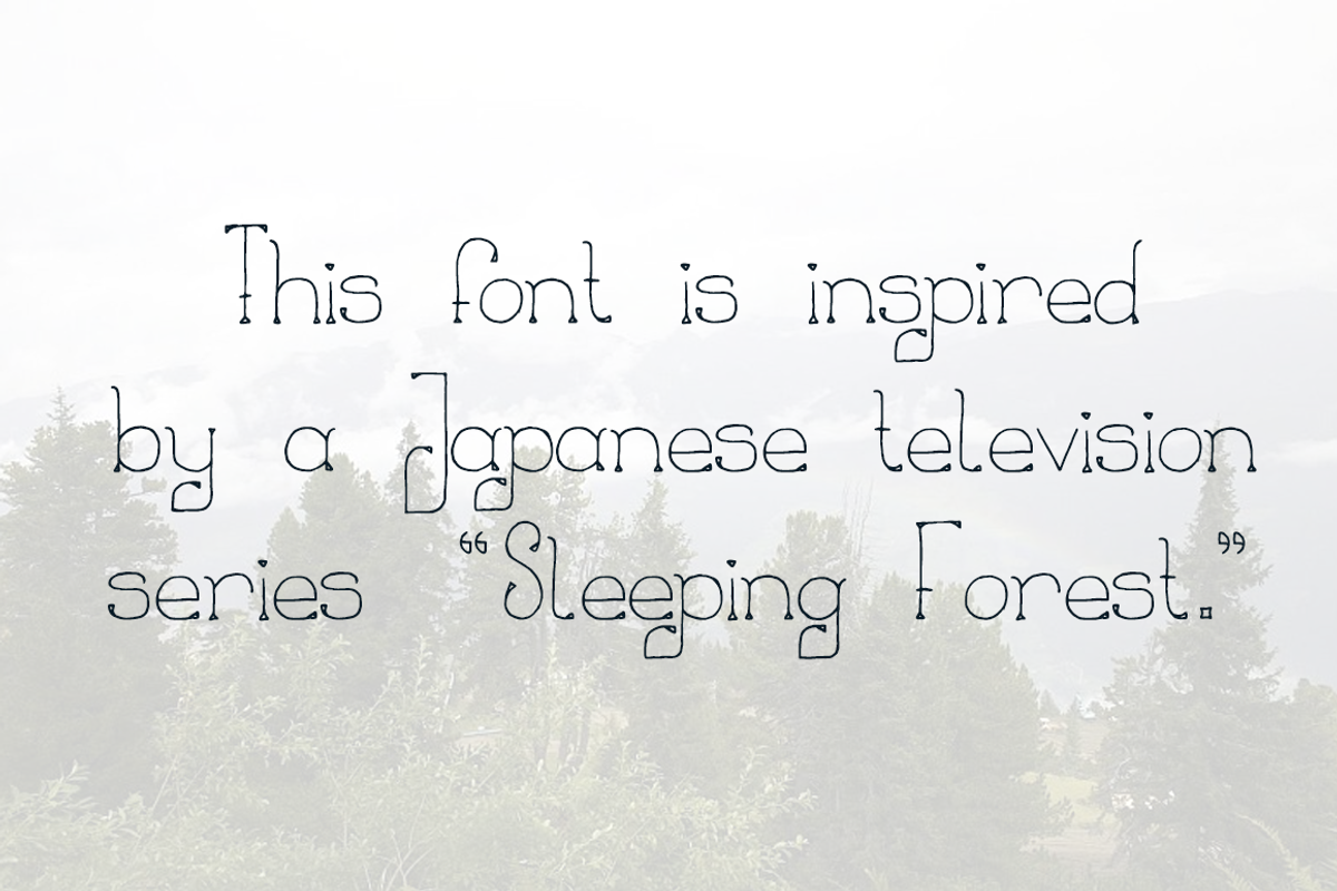 Sleeping Forest, a Serif Font by TypeKatsu (Photo 2 of 4)