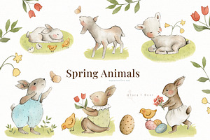 Spring Animals