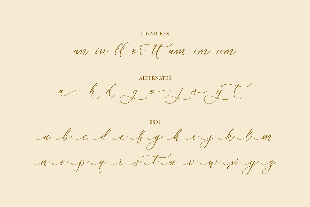 Rumaysa Chambert Luxury Script, a Serif Font by Storytype Studio (Photo 15 of 16)