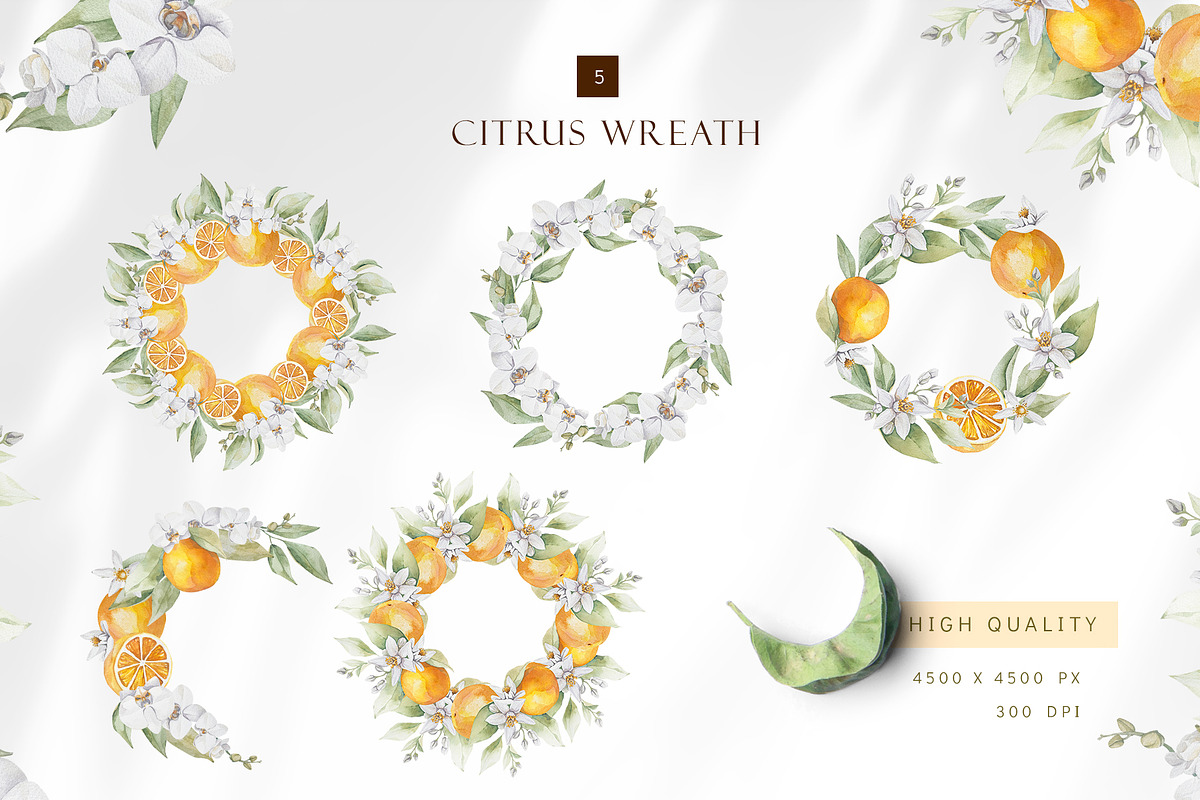 Watercolor citrus orange clipart, an Illustration by MariGraphic boutique (Photo 8 of 10)