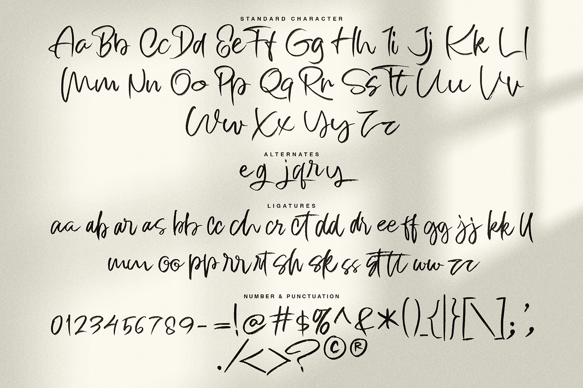 Twilight stroke | Brush Script Font, a Script Font by Jolicia Type (Photo 7 of 10)