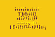 Endemic - Serif brush font, a Serif Font by WAP (Thumbnail 5 of 5)