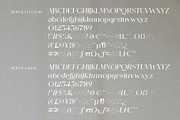Mervola - Minimalist Serif Font, a Serif Font by GridlineType (Thumbnail 9 of 10)