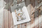 Magazine Cover Mockup Set, a Print Template by Creative Veila (Thumbnail 3 of 8)
