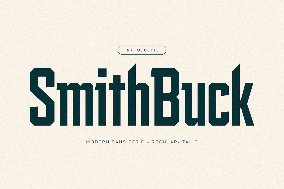 Smith Buck Modern Sans Serif, a Sans Serif Font by Storytype Studio (Photo 1 of 15)