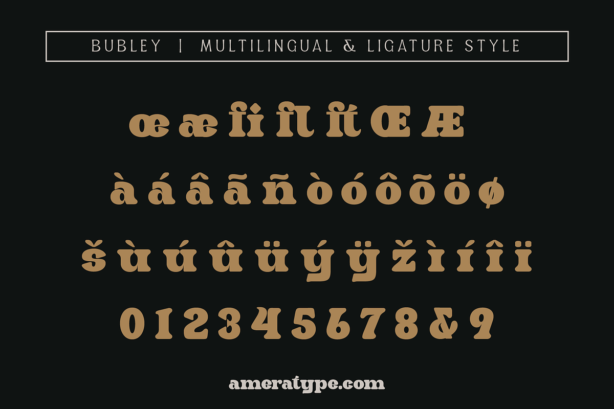 Bubley, a Slab Serif Font by Amera Type (Photo 8 of 10)