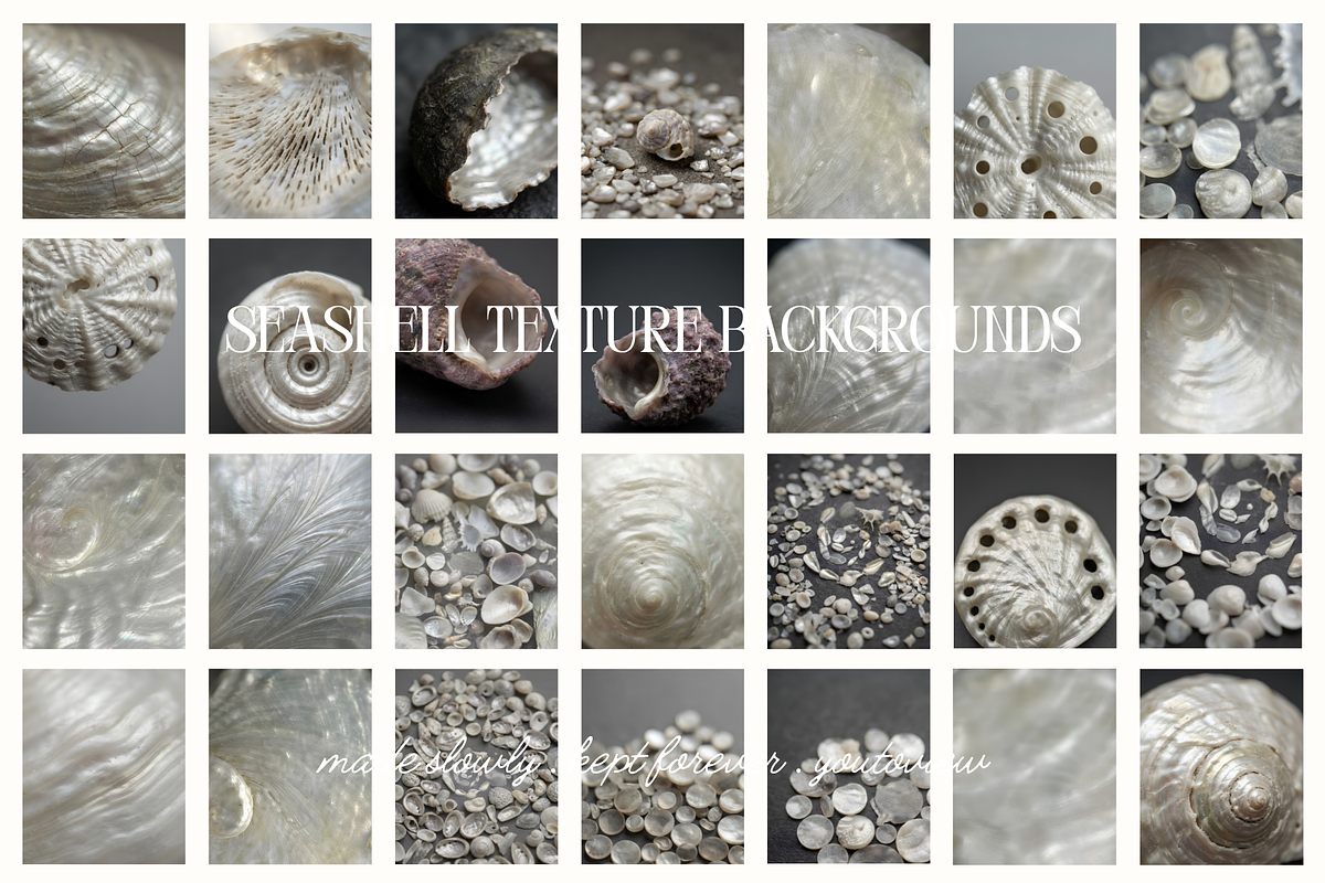 Seashell Texture Backgrounds, a Background Graphic by youtoview (Photo 2 of 12)