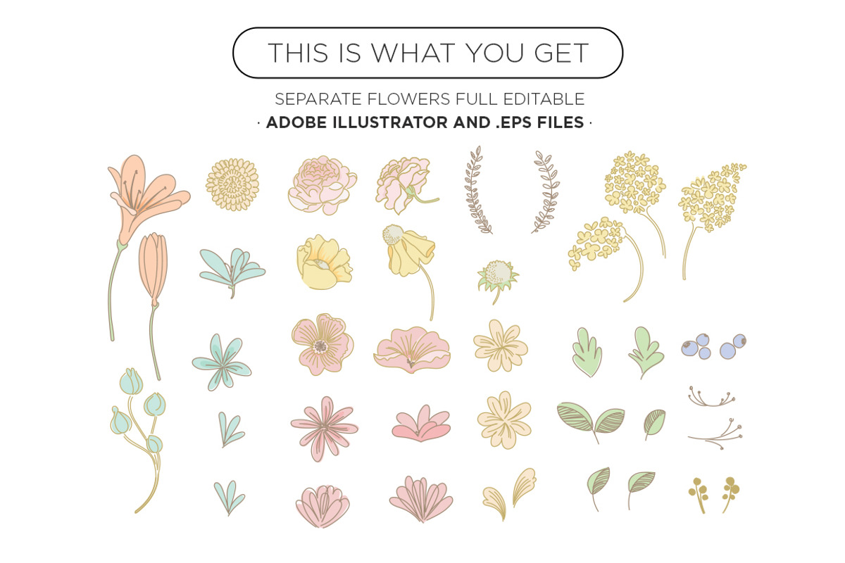 Spring Flowers . Vectors Ai, a Decorative Illustration by tomodachi studio (Photo 3 of 5)