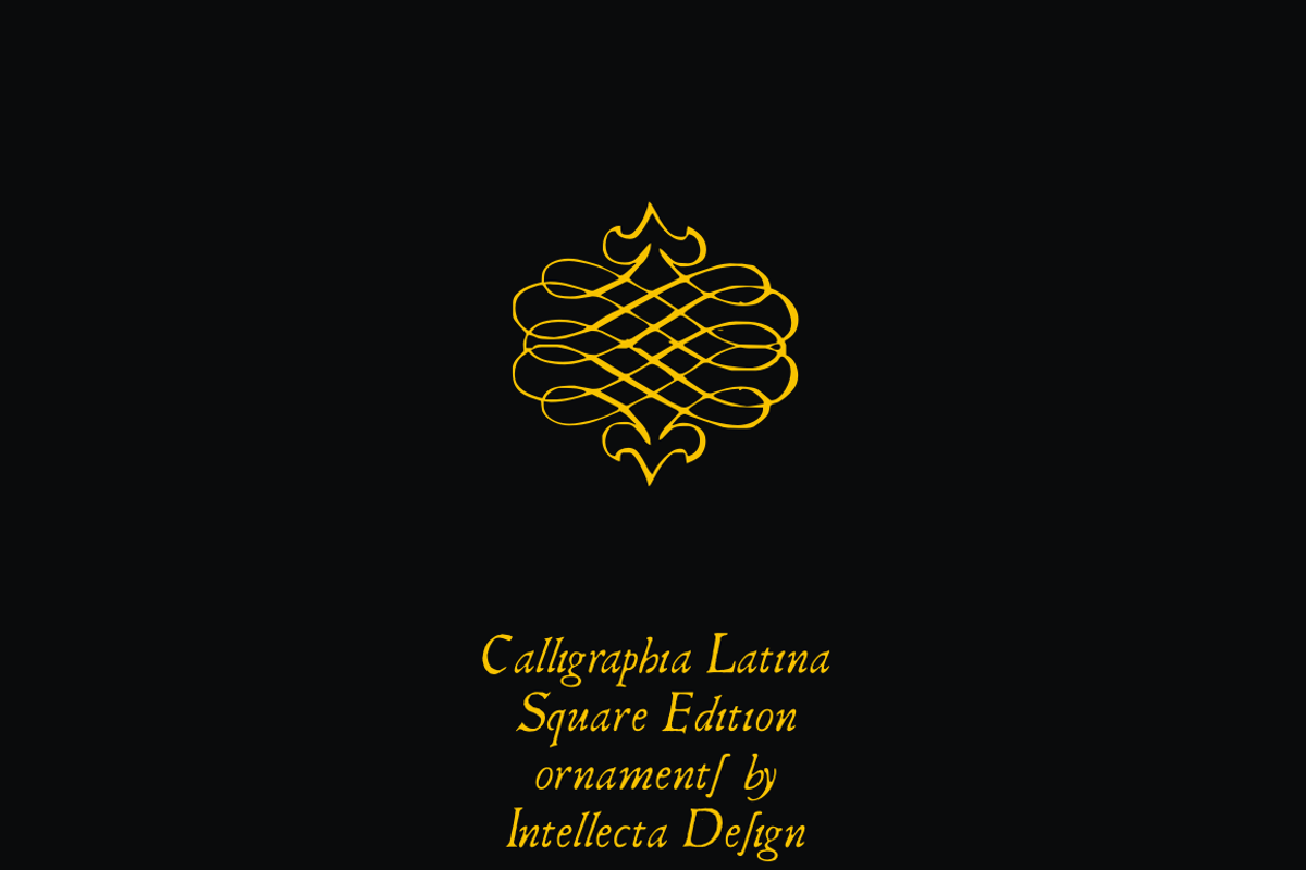 Calligraphia Latina Square Edition preview 3