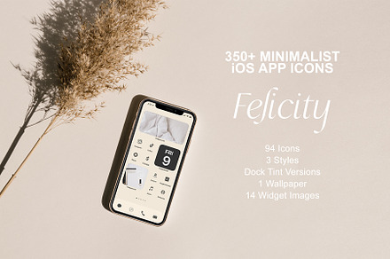 Felicity - 350+ iOS App Icon Set
