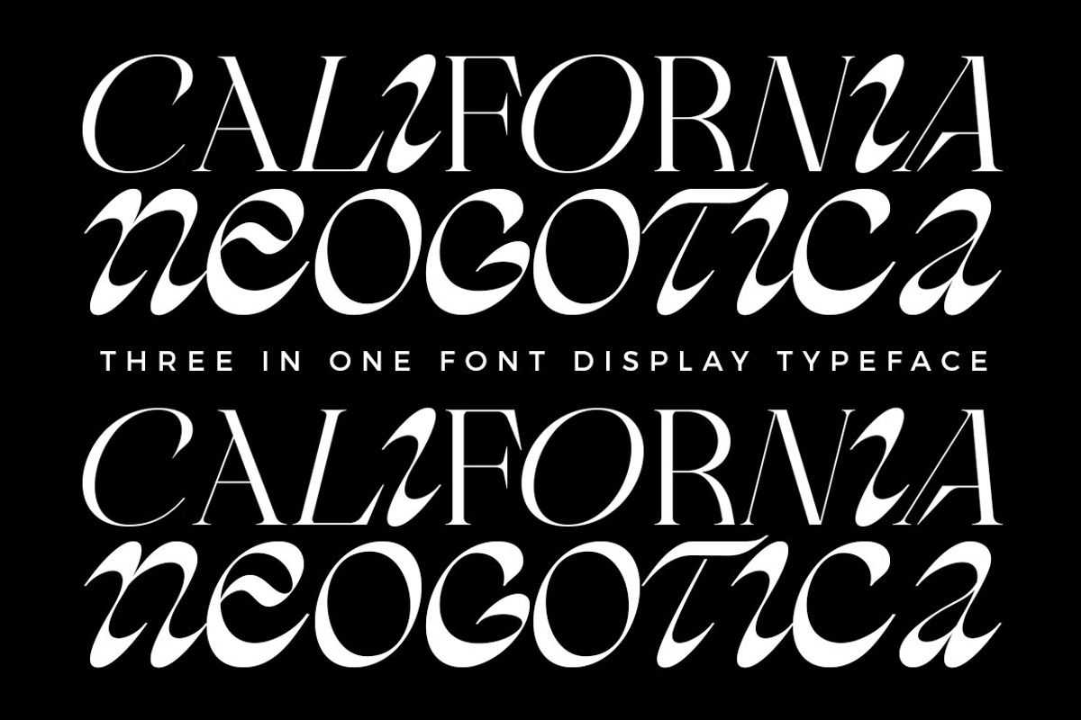 Cholleo Display, a Serif Font by Dora Typefoundry (Photo 5 of 18)