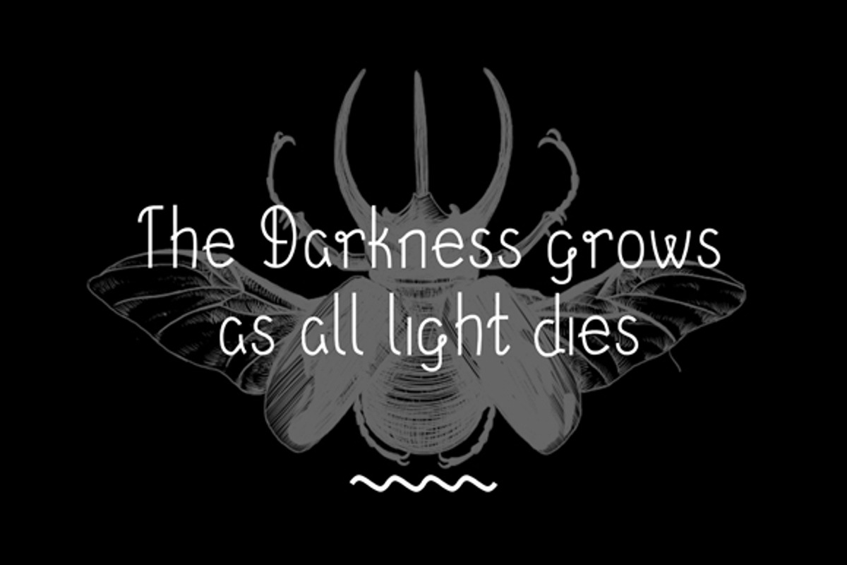 December Typeface (70% Off) preview 4