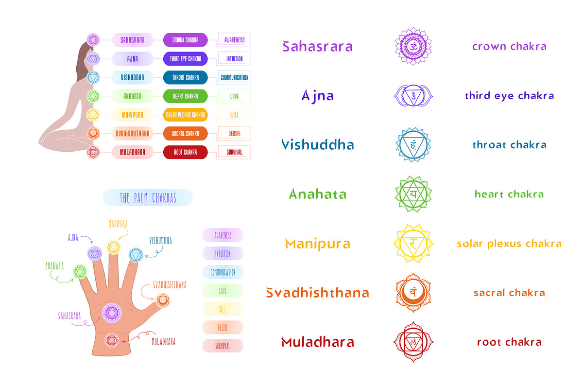 Chakras Infographic Set, an Education Illustration by Zim Varezhkin (Photo 4 of 7)