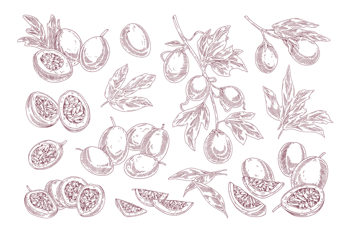 Exotic passion fruit, hand-drawn set, a Food Illustration by Good Studio (Photo 3 of 3)
