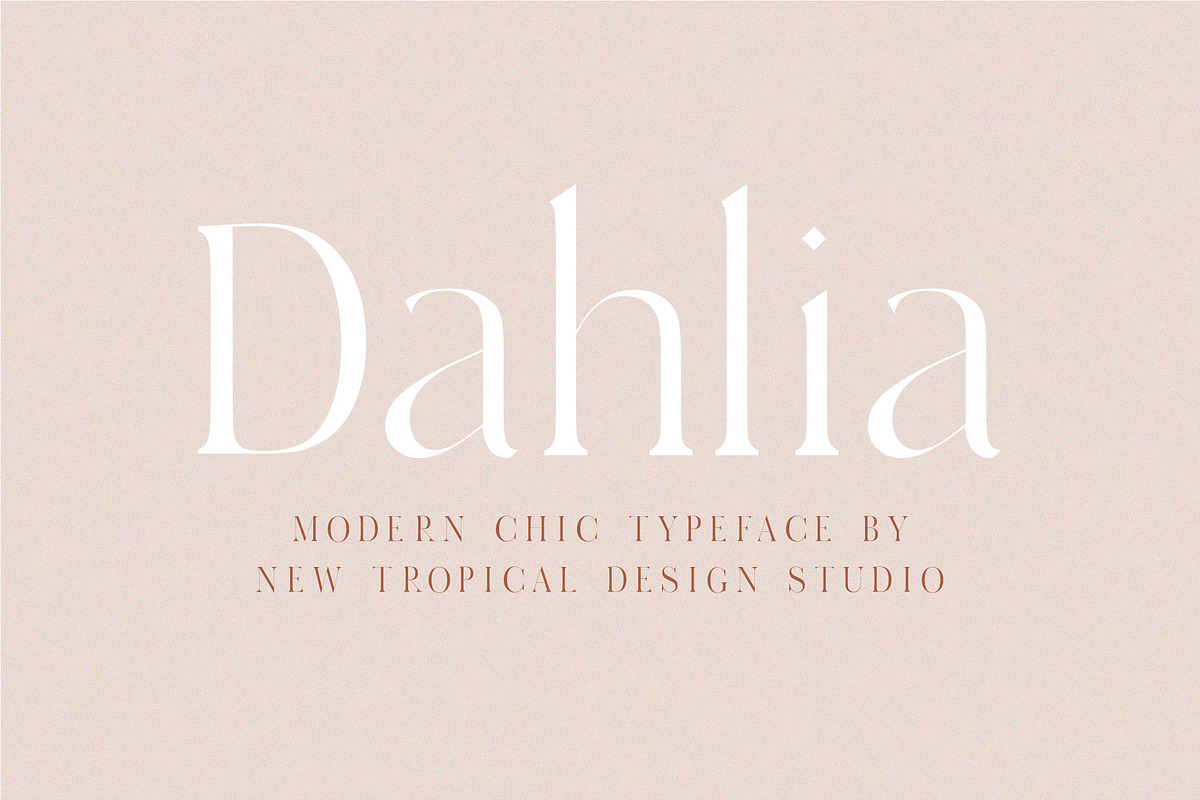 Dahlia - Modern Serif Font