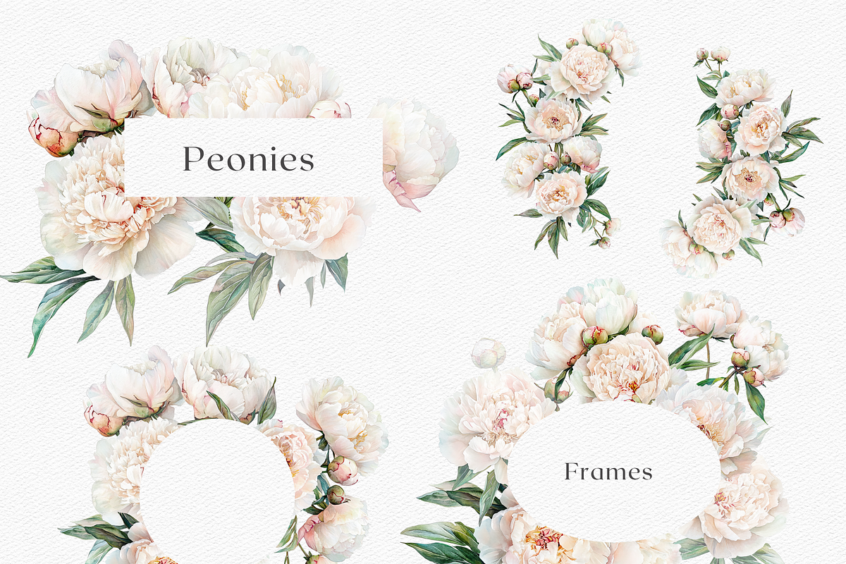 Peony Blush - Watercolor, a Decorative Illustration by ThaismotaCreativeCo (Photo 7 of 11)