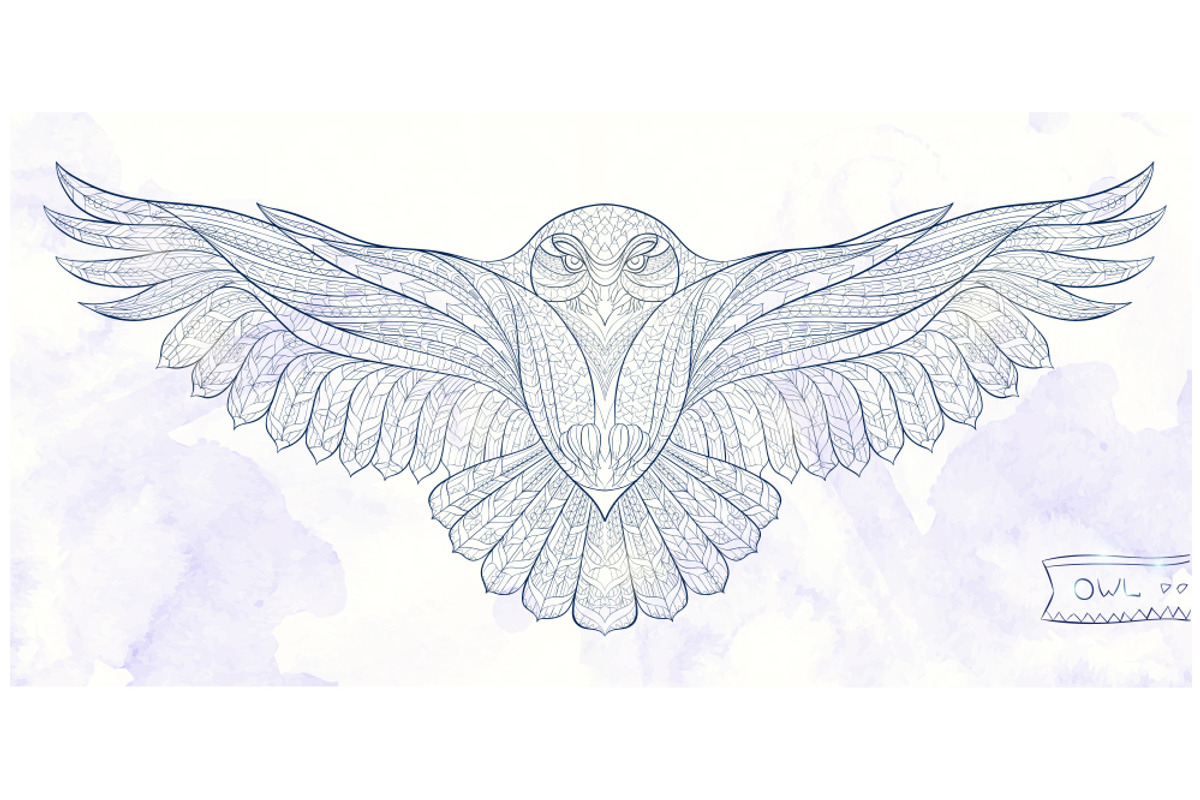 Ethnic Collection: Snowy Owl, an Animal Illustration by ArtoJoy (Photo 5 of 5)