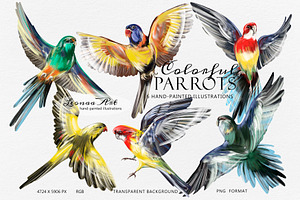 Colorful Parrots Clipart Set, an Animal Illustration by Leonaa art